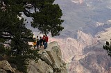 Grand Canyon 05